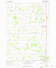 Rosebush Michigan Historical topographic map, 1:24000 scale, 7.5 X 7.5 Minute, Year 1973