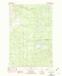 Rousseau Michigan Historical topographic map, 1:25000 scale, 7.5 X 7.5 Minute, Year 1982