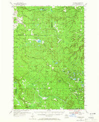 Rousseau Michigan Historical topographic map, 1:62500 scale, 15 X 15 Minute, Year 1954