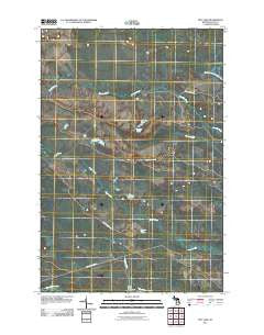 Roy Lake Michigan Historical topographic map, 1:24000 scale, 7.5 X 7.5 Minute, Year 2011