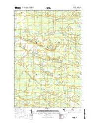 Roy Lake Michigan Historical topographic map, 1:24000 scale, 7.5 X 7.5 Minute, Year 2014