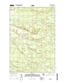 Roy Lake Michigan Historical topographic map, 1:24000 scale, 7.5 X 7.5 Minute, Year 2014