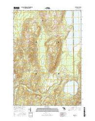 Rust Michigan Current topographic map, 1:24000 scale, 7.5 X 7.5 Minute, Year 2016