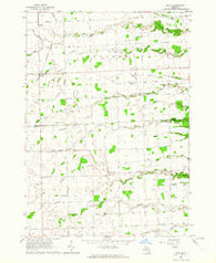 Ruth Michigan Historical topographic map, 1:24000 scale, 7.5 X 7.5 Minute, Year 1963