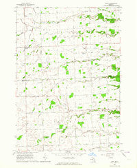 Ruth Michigan Historical topographic map, 1:24000 scale, 7.5 X 7.5 Minute, Year 1963
