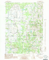 Sand Lake SW Michigan Historical topographic map, 1:24000 scale, 7.5 X 7.5 Minute, Year 1985