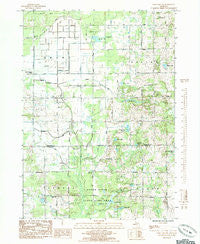 Sand Lake SW Michigan Historical topographic map, 1:24000 scale, 7.5 X 7.5 Minute, Year 1985