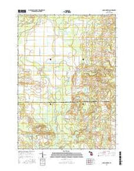 Sand Lake SW Michigan Current topographic map, 1:24000 scale, 7.5 X 7.5 Minute, Year 2017