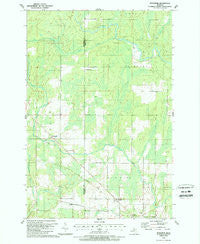 Schaffer Michigan Historical topographic map, 1:24000 scale, 7.5 X 7.5 Minute, Year 1989