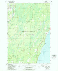 Seagull Point Michigan Historical topographic map, 1:24000 scale, 7.5 X 7.5 Minute, Year 1989