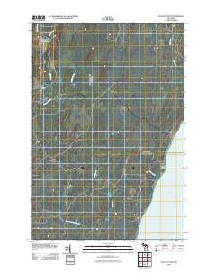 Seagull Point Michigan Historical topographic map, 1:24000 scale, 7.5 X 7.5 Minute, Year 2011