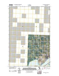 Shallows OE N Michigan Historical topographic map, 1:24000 scale, 7.5 X 7.5 Minute, Year 2011