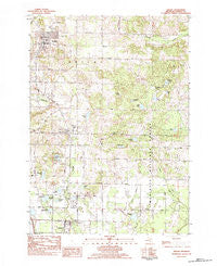 Shelby Michigan Historical topographic map, 1:25000 scale, 7.5 X 7.5 Minute, Year 1983