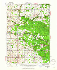 Shepherd Michigan Historical topographic map, 1:62500 scale, 15 X 15 Minute, Year 1930