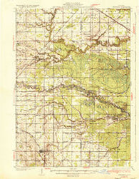 Shepherd Michigan Historical topographic map, 1:62500 scale, 15 X 15 Minute, Year 1936