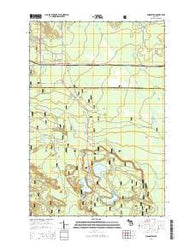 Shingleton Michigan Historical topographic map, 1:24000 scale, 7.5 X 7.5 Minute, Year 2014