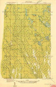 Shingleton NE Michigan Historical topographic map, 1:31680 scale, 7.5 X 7.5 Minute, Year 1931