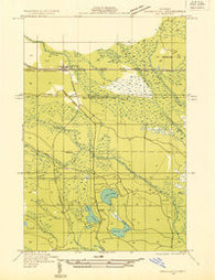 Shingleton SW Michigan Historical topographic map, 1:31680 scale, 7.5 X 7.5 Minute, Year 1931