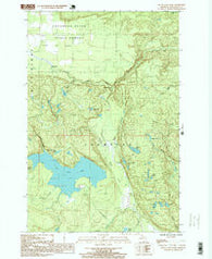 Silver Lake Basin Michigan Historical topographic map, 1:24000 scale, 7.5 X 7.5 Minute, Year 1996