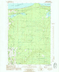 Skandia Michigan Historical topographic map, 1:24000 scale, 7.5 X 7.5 Minute, Year 1985