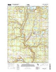 Skidway Lake Michigan Historical topographic map, 1:24000 scale, 7.5 X 7.5 Minute, Year 2014