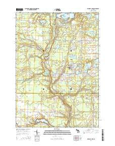 Skidway Lake Michigan Historical topographic map, 1:24000 scale, 7.5 X 7.5 Minute, Year 2014