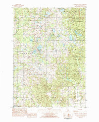 Slaybaugh Corner Michigan Historical topographic map, 1:25000 scale, 7.5 X 7.5 Minute, Year 1983