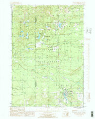South Boardman Michigan Historical topographic map, 1:24000 scale, 7.5 X 7.5 Minute, Year 1985