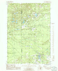 South Boardman Michigan Historical topographic map, 1:24000 scale, 7.5 X 7.5 Minute, Year 1985