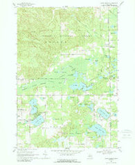 South Branch Michigan Historical topographic map, 1:24000 scale, 7.5 X 7.5 Minute, Year 1968