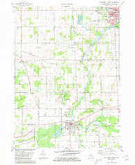Southwest Albion Michigan Historical topographic map, 1:24000 scale, 7.5 X 7.5 Minute, Year 1980