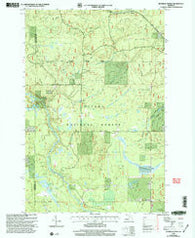 Sparrow Rapids Michigan Historical topographic map, 1:24000 scale, 7.5 X 7.5 Minute, Year 1999