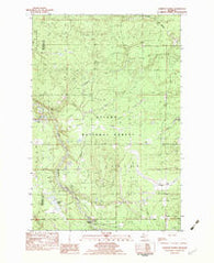 Sparrow Rapids Michigan Historical topographic map, 1:25000 scale, 7.5 X 7.5 Minute, Year 1982