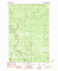 Sparrow Rapids Michigan Historical topographic map, 1:25000 scale, 7.5 X 7.5 Minute, Year 1982