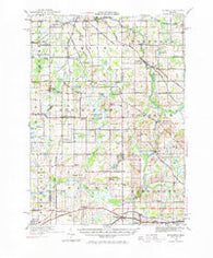 Springport Michigan Historical topographic map, 1:62500 scale, 15 X 15 Minute, Year 1919
