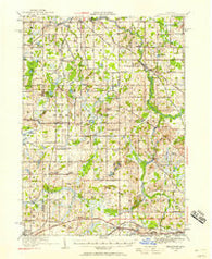 Springport Michigan Historical topographic map, 1:62500 scale, 15 X 15 Minute, Year 1919