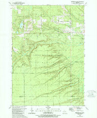 Sprinkler Lake Michigan Historical topographic map, 1:24000 scale, 7.5 X 7.5 Minute, Year 1989