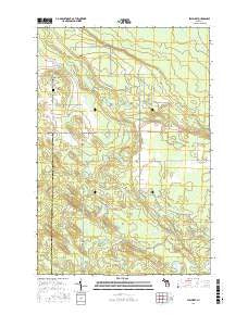 Stalwart Michigan Current topographic map, 1:24000 scale, 7.5 X 7.5 Minute, Year 2017