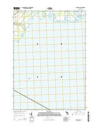 Standish NE Michigan Historical topographic map, 1:24000 scale, 7.5 X 7.5 Minute, Year 2014