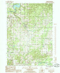 Stanwood Michigan Historical topographic map, 1:24000 scale, 7.5 X 7.5 Minute, Year 1985