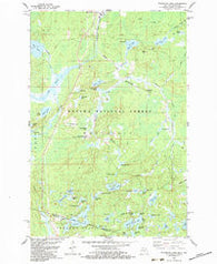 Stateline Lake Michigan Historical topographic map, 1:24000 scale, 7.5 X 7.5 Minute, Year 1982