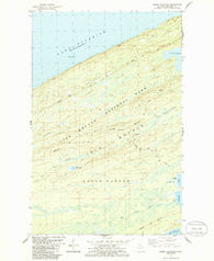 Sugar Mountain Michigan Historical topographic map, 1:24000 scale, 7.5 X 7.5 Minute, Year 1985