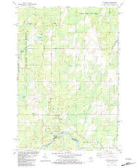 Swanson Michigan Historical topographic map, 1:24000 scale, 7.5 X 7.5 Minute, Year 1982