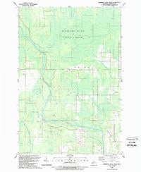 Swimming Hole Creek Michigan Historical topographic map, 1:24000 scale, 7.5 X 7.5 Minute, Year 1989
