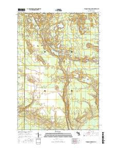 Tahquamenon Lakes Michigan Current topographic map, 1:24000 scale, 7.5 X 7.5 Minute, Year 2017