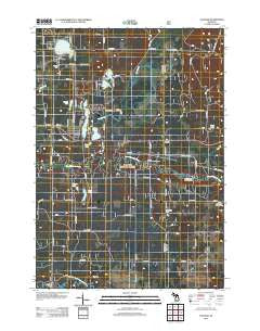 Tallman Michigan Historical topographic map, 1:24000 scale, 7.5 X 7.5 Minute, Year 2012