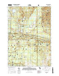Tallman Michigan Current topographic map, 1:24000 scale, 7.5 X 7.5 Minute, Year 2017