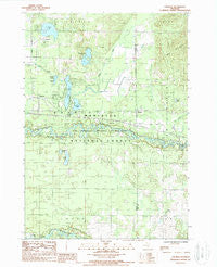 Tallman Michigan Historical topographic map, 1:24000 scale, 7.5 X 7.5 Minute, Year 1987