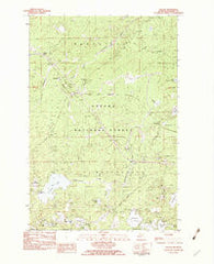 Thayer Michigan Historical topographic map, 1:25000 scale, 7.5 X 7.5 Minute, Year 1982