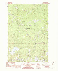 Thayer Michigan Historical topographic map, 1:25000 scale, 7.5 X 7.5 Minute, Year 1982